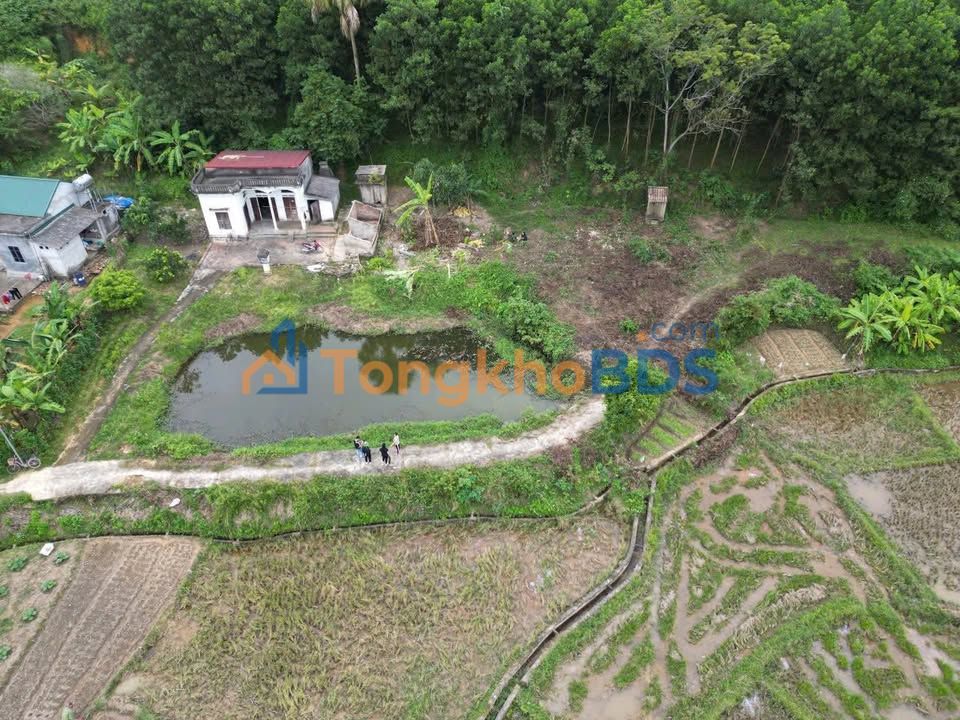 Đất nền Phú Thọ 1085m² hướng Đông Nam - View đồng thoáng đãng, giá hơn 1 tỷ