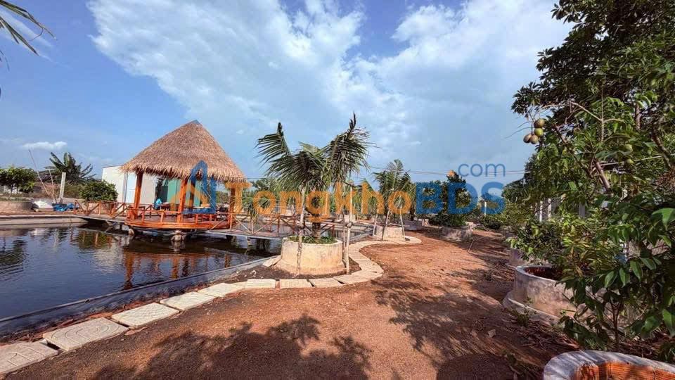 Đất vườn Tam Thôn Hiệp Cần Giờ 1.266m² 20.256 tỷ - Sổ đỏ chính chủ