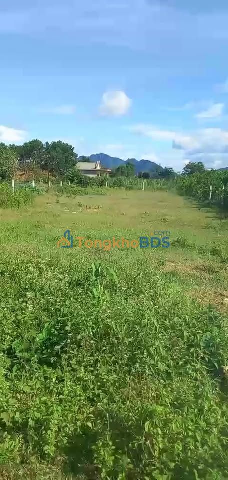 Đất nền A Lưới Thừa Thiên Huế 831,5m² - Sổ hồng chính chủ