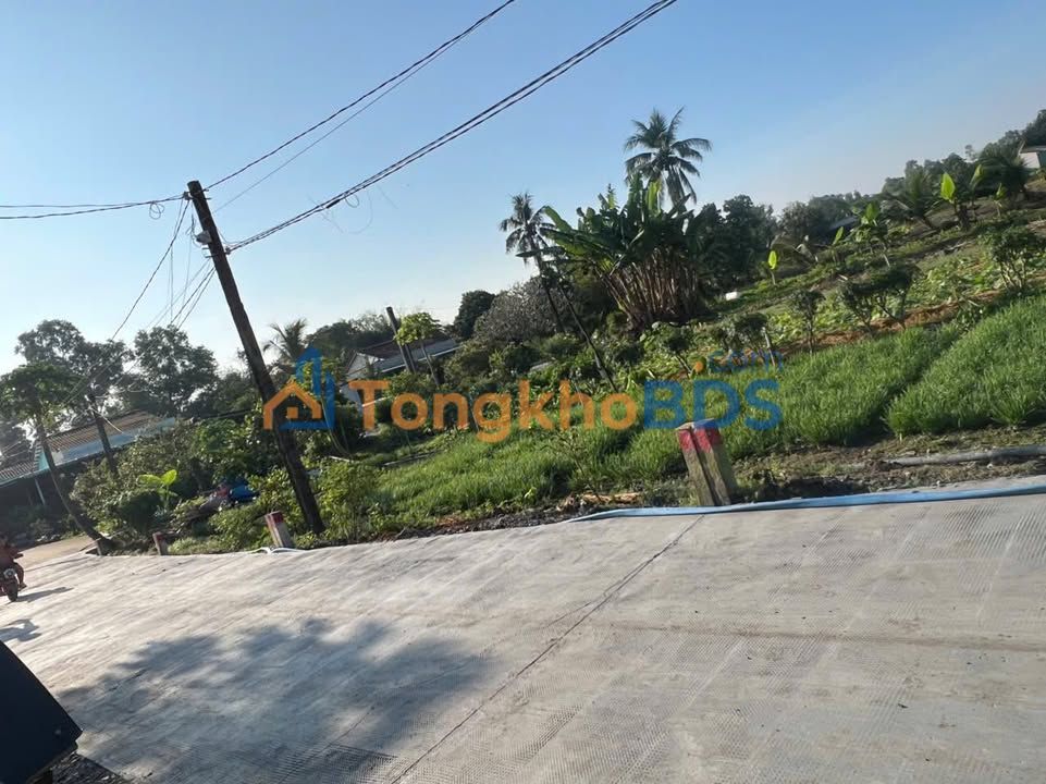 Đất nền Bình Lãng Tân Trụ 150m² 420 triệu - Sổ đỏ chính chủ