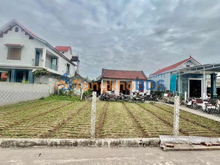 Đất nền Hải Hậu 623m² thỏa thuận - Đường to ô tô