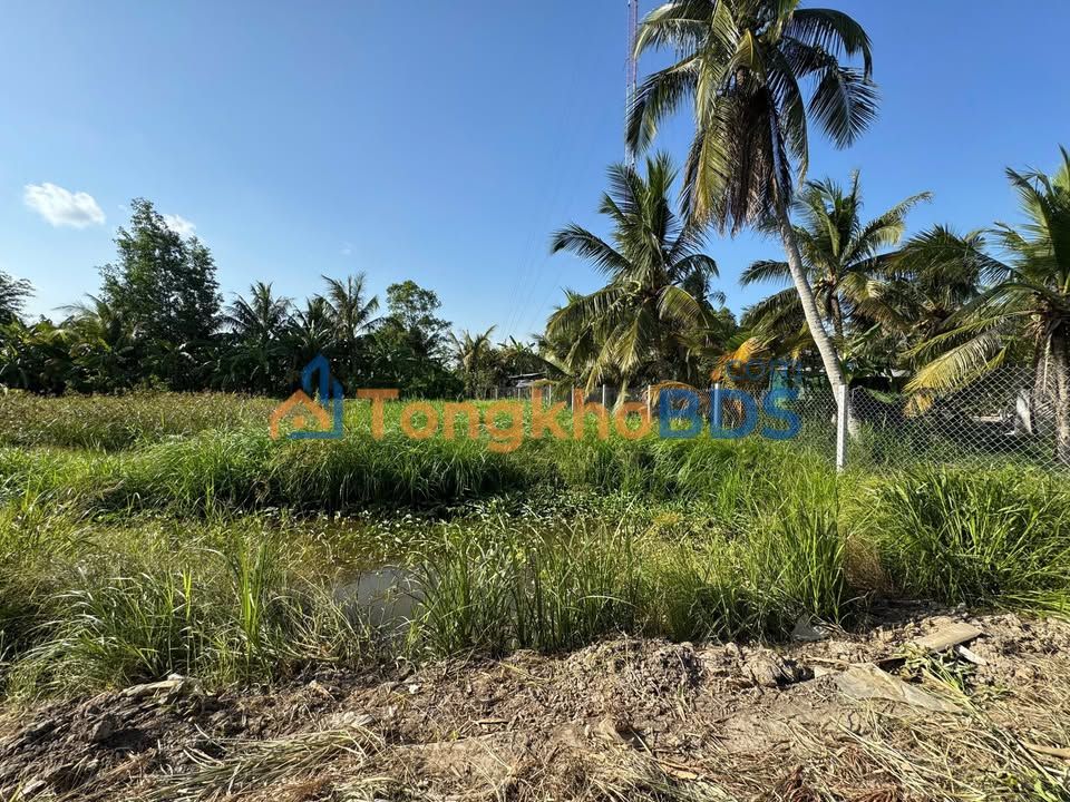 Đất nền Vị Thanh 125m² giá 300 triệu - Đất thổ cư 100%