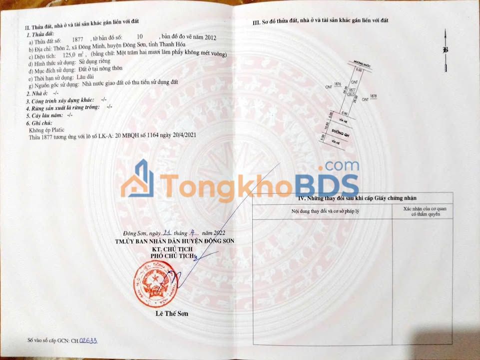 Đất nền Đông Minh Thanh Hóa 125m² 9xx - Tiềm năng tăng giá