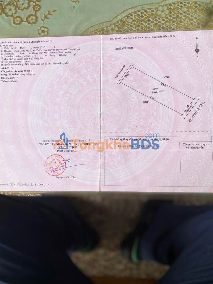 Đất nền Thiệu Duy Thanh Hóa 110m² 1 tỷ - Tiềm năng tăng giá
