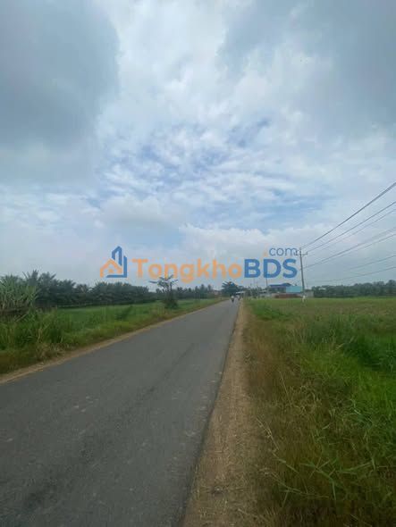 Đất ruộng An Bình Tây 2.430m² 850 triệu - Sổ đỏ chính chủ