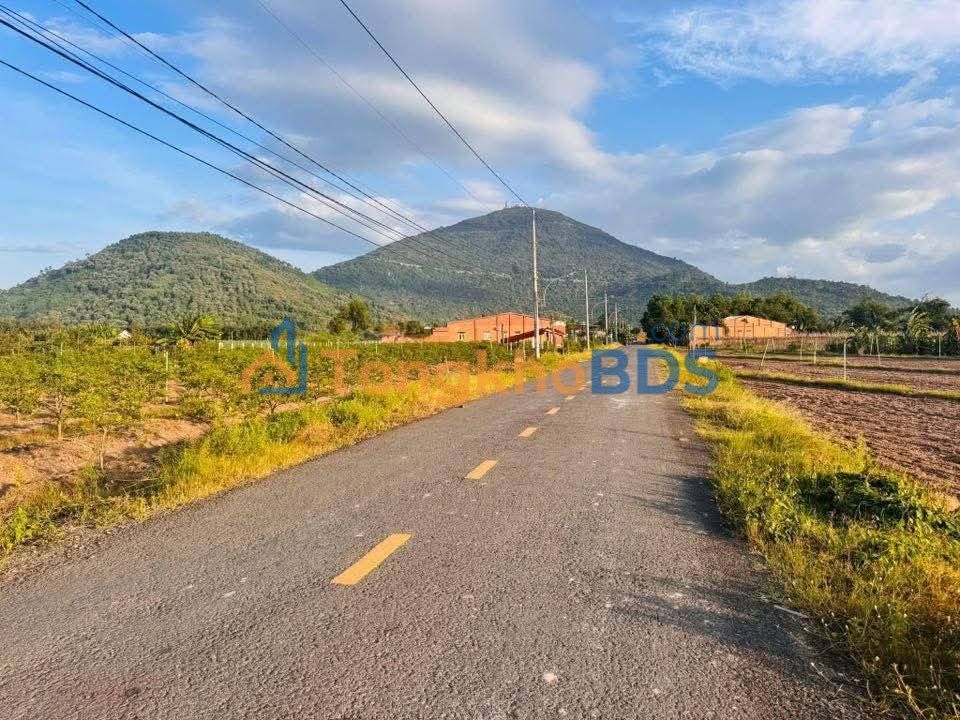 Đất Tam Giác Vàng Hiệp Tân 213m² 170tr - Sổ đỏ chính chủ