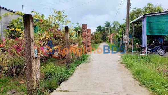 Bán Đất Mỹ Nhơn Ba Tri Bến Tre 468m² - Sẵn Sàng Xây Dựng