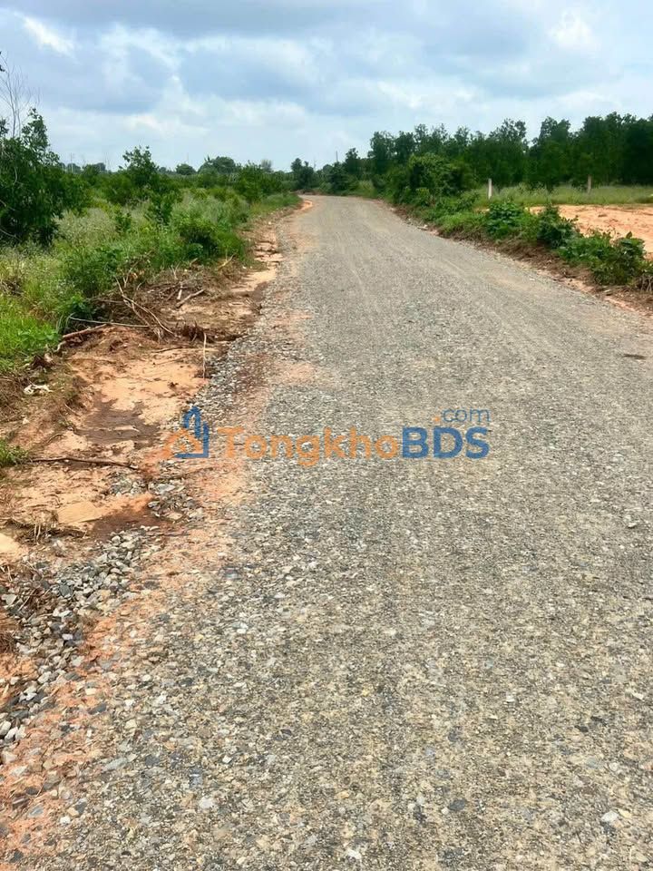 Đất nền Tiến Thành NovaWorld 1ha giá 2.9 tỷ - Sổ đỏ chính chủ