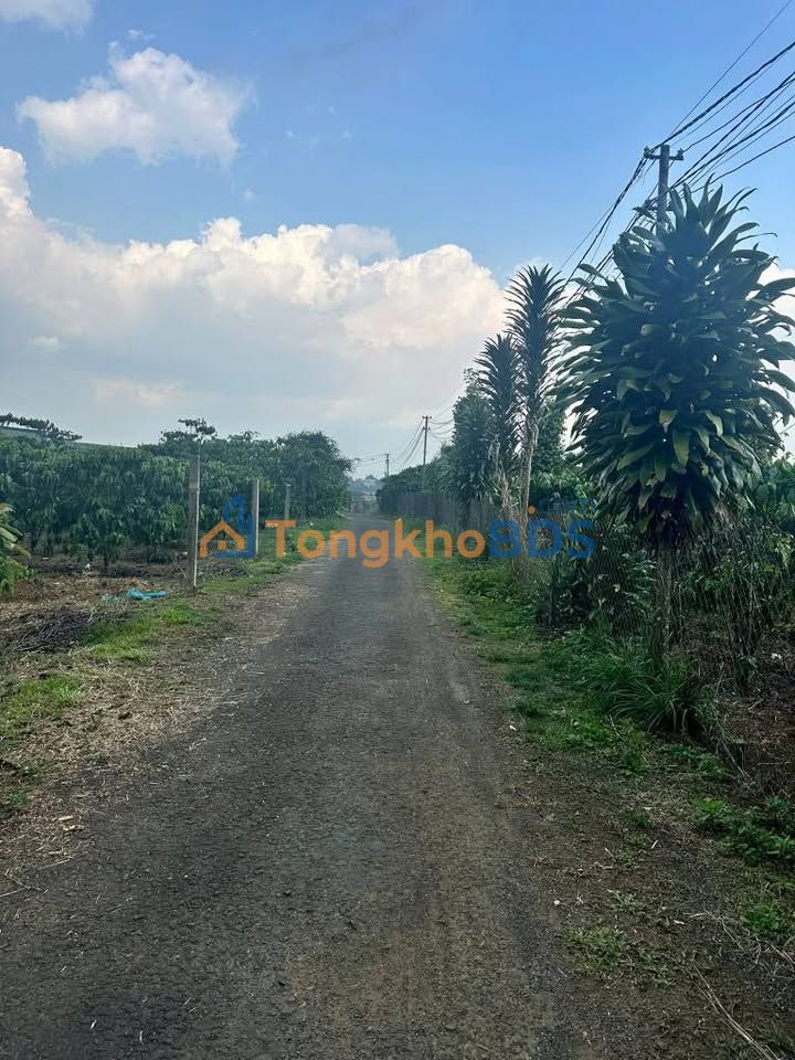 Đất nền Thủ Dầu Một 330m² giá 1.2 tỷ - Sổ đỏ chính chủ