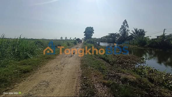 Đất vườn An Bình Tây Ba Tri 4,3 công 1,505 tỷ - Đầu tư dài hạn