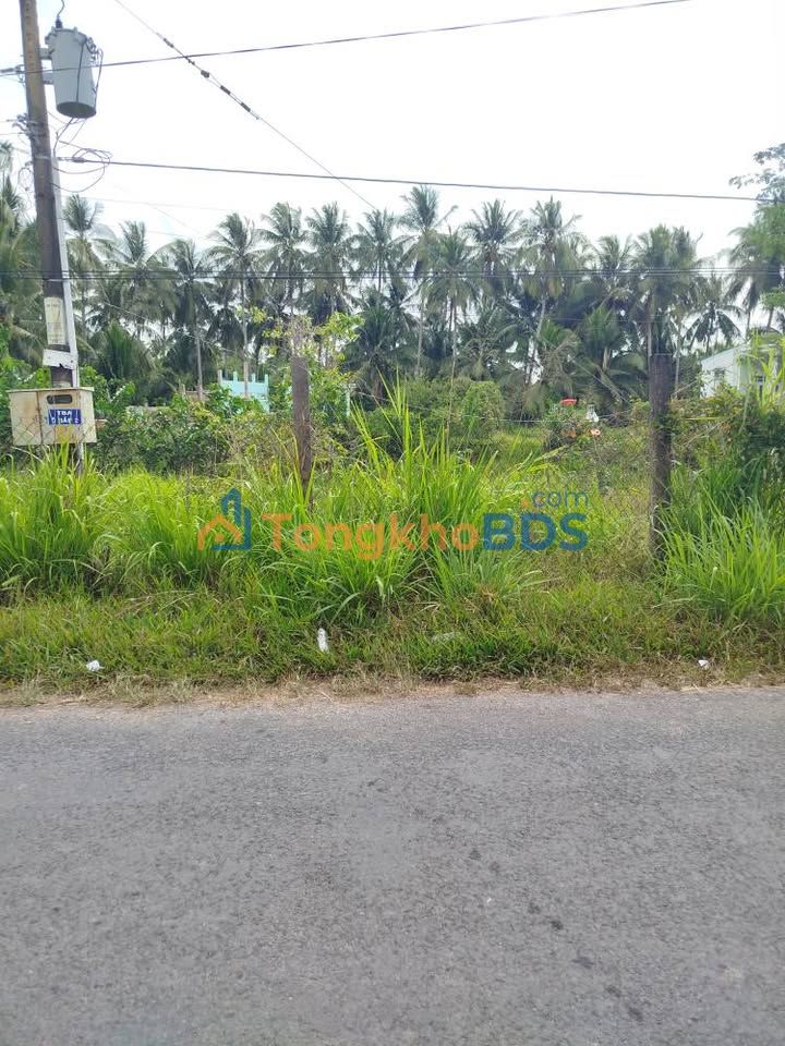 Đất vườn Song Lộc Vĩnh Long 15.916m² 4 tỷ - Đường to ô tô