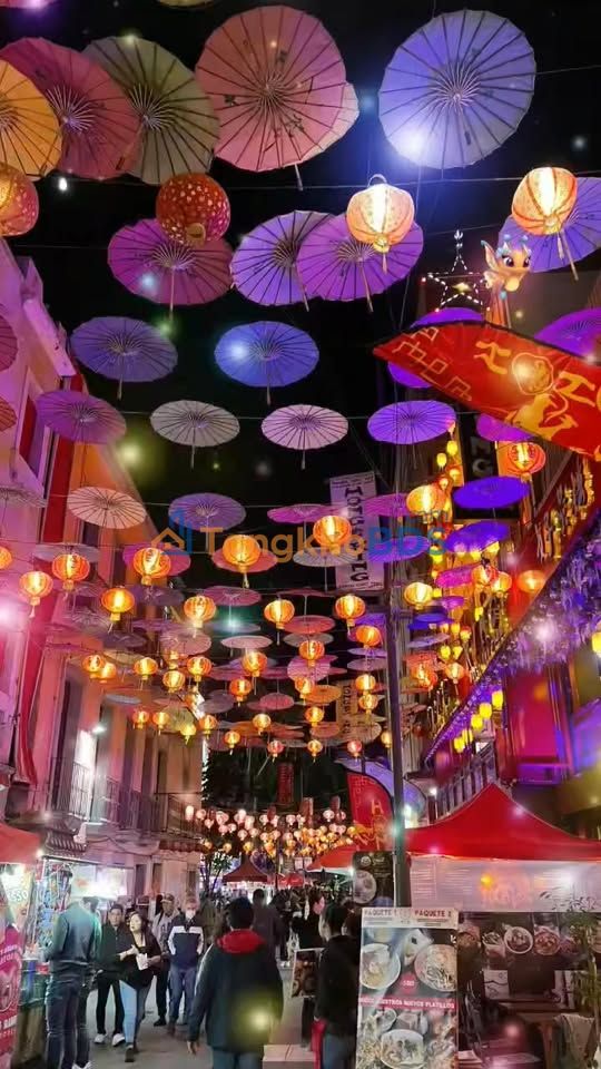 Đất Sơn Đông Ba Tri 500m² 500 triệu - Hạ tầng hoàn thiện