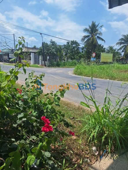 Đất nền An Ngãi Trung Ba Tri 2.500m² 1.3 tỷ - Sổ đỏ chính chủ