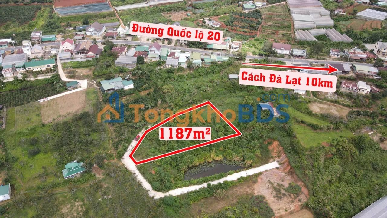Đất Nông Nghiệp 1187m² Đà Lạt - Sổ Hồng, Lên XD Full, Giá 5 Tỷ