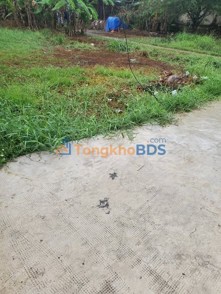 Đất nền Mỹ Nhơn Ba Tri 468m² 500-570tr - Sổ đỏ thổ cư