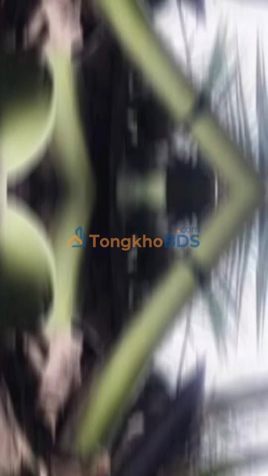 Đất nền Phong Nẫm Bến Tre 8400m² 8 tỷ - Đường to ô tô