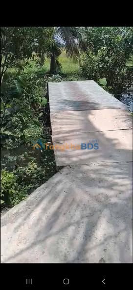 Đất trồng dừa An Ngãi Trung 1,5 công 250 triệu - An yên tĩnh lặng