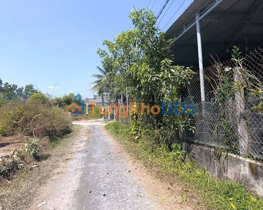 Đất nền Trảng Bàng 275m² 590 triệu - Đất thổ cư 100%