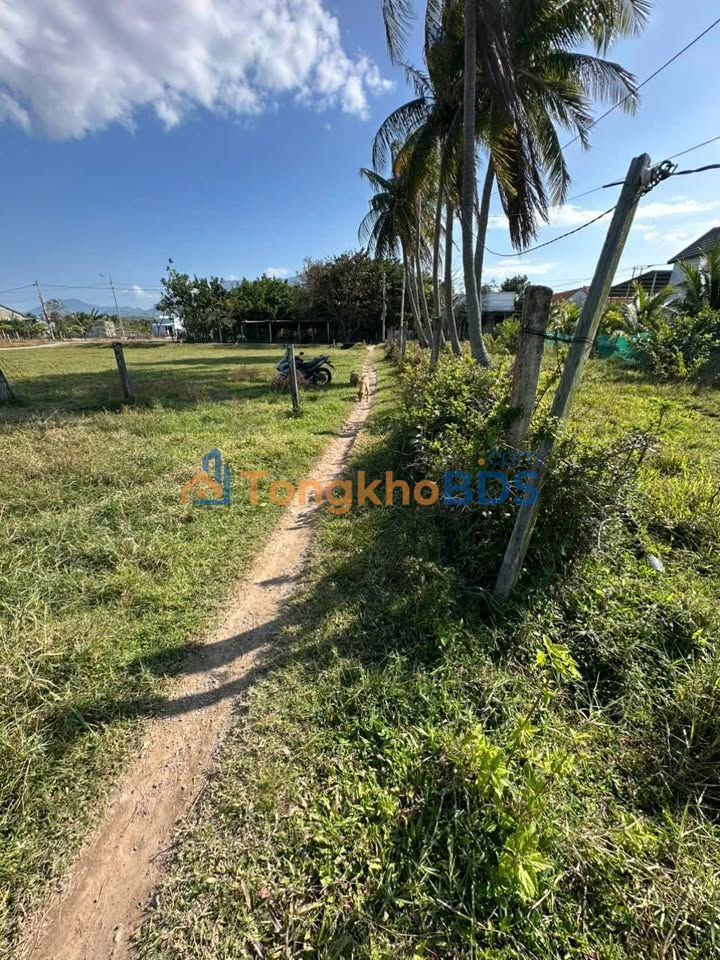 Đất DT7 Hoài Đức 106m² giá 400 triệu - Sổ đỏ chính chủ