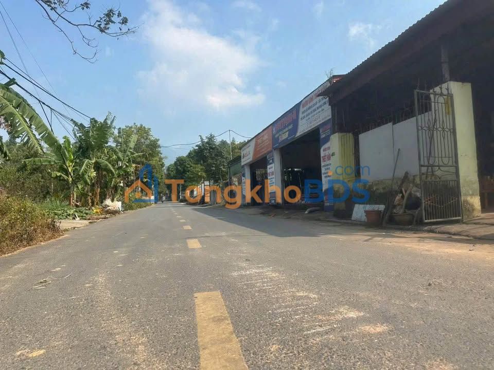 Đất thổ cư Tam Đảo 305m² giá 1,11 tỷ - Sổ đỏ chính chủ đường rộng ô tô tránh