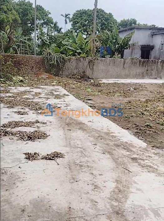 Đất nền Thái Xuyên Thái Thụy 80m² 3 tỷ x - Sổ đỏ chính chủ