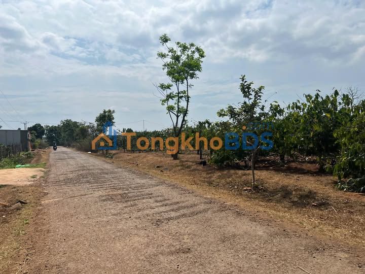 Đất Biển Hồ Pleiku 1.360m² 3.2 tỷ - Xây dựng tự do