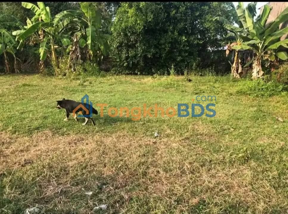 Đất nền Phường 9 Trà Vinh 170m² 500tr - Giá tốt hiếm có