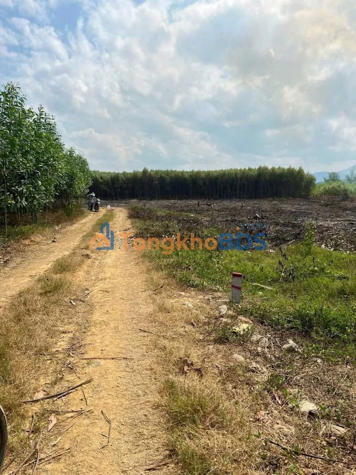 Đất nền Xã Khánh Hiệp 1.300m² - Sổ đỏ chính chủ, giá 159 triệu