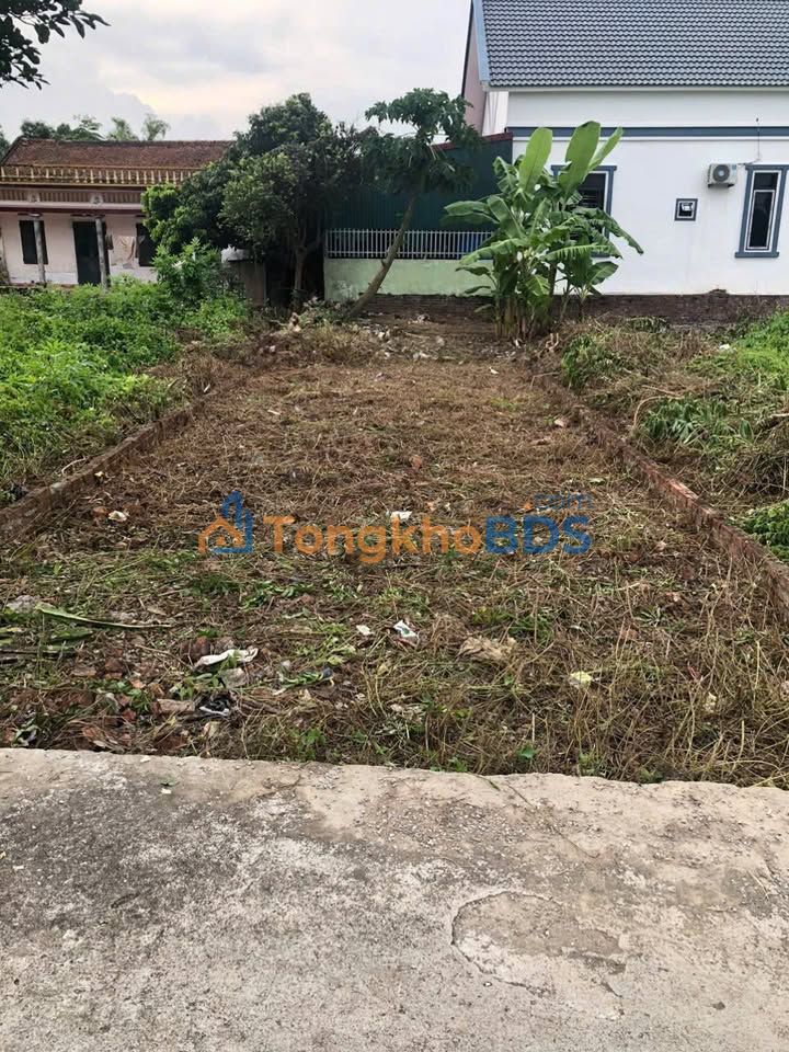 Đất nền Quang Vinh Ân Thi 97m² 1,6 tỷ - Tiềm năng tăng giá