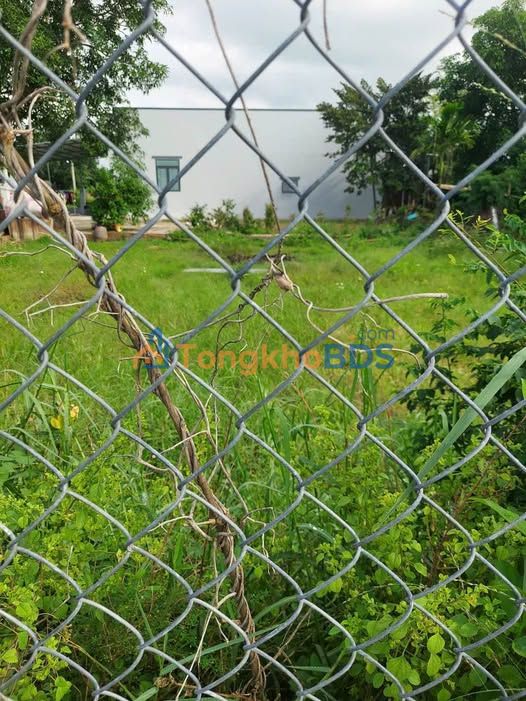 Đất Luật Chánh Phước Hiệp 87m² 350tr - Sổ đỏ chính chủ