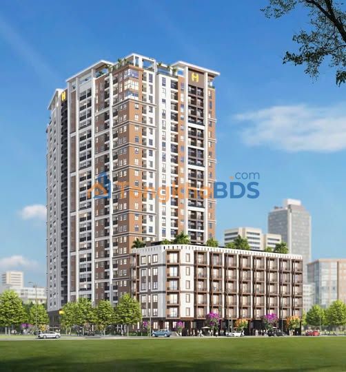 Đất nền Phước Thuận 181-243m² 1,7-3,1 tỷ - Sổ đỏ chính chủ