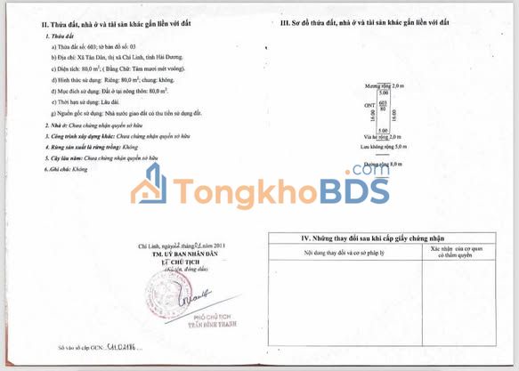 Bán Đất Đấu Giá 80m² Phường Tân Dân, Chí Linh - Hướng Nam, Giá Thỏa Thuận