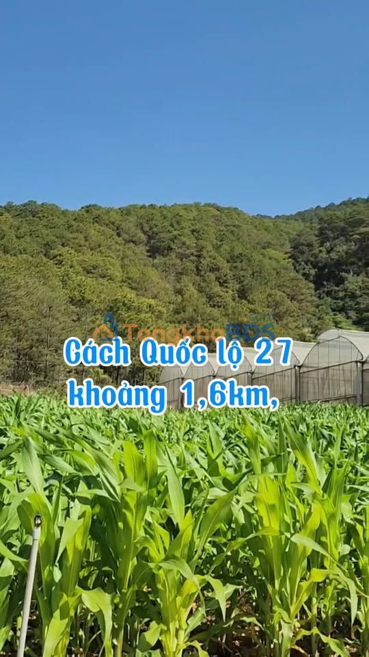 Đất nền Thạnh Mỹ 974m² Đơn Dương - Tiềm năng tăng giá