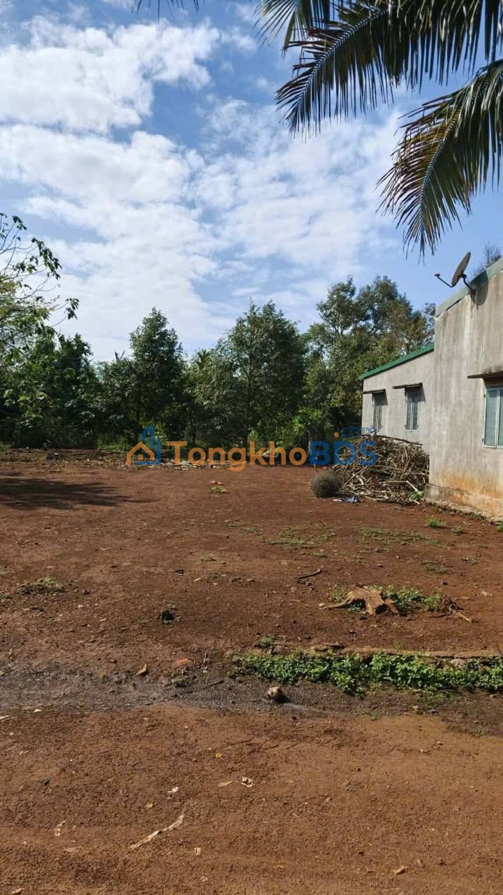 Đất Nền Buông Kang, Krông Pắc 225m² - Sổ Đỏ Sẵn Sàng, Giá Đầu Tư 480 Triệu