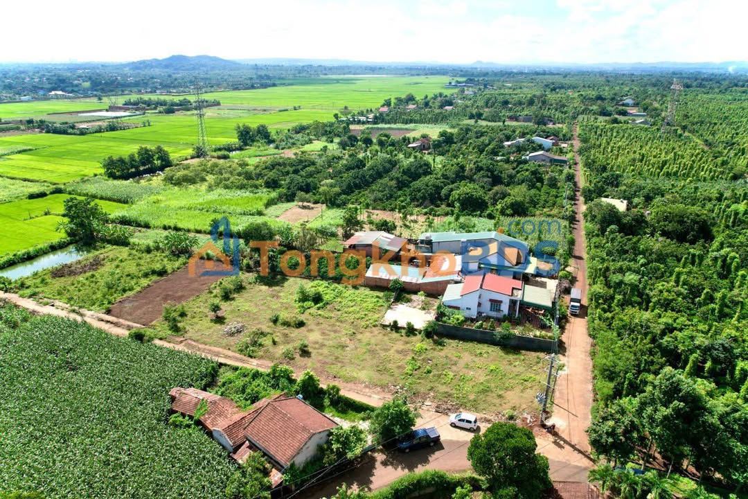 Đất nền Khánh Xuân Buôn Ma Thuột 300m² 950tr – Tiềm năng tăng giá