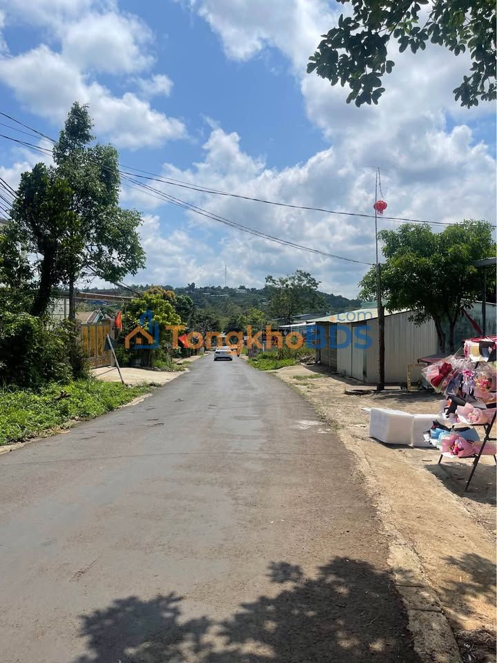 Đất mặt đường Đinh Tiên Hoàng Đơn Dương 500m² 145 tỷ - Đường to ô tô