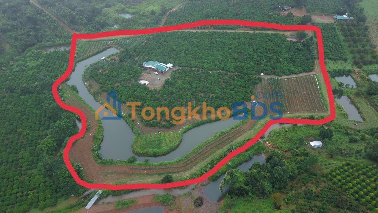 Đất rẫy Nam N'Jang Đắk Song 3,9ha 9,5 tỷ - Đường ô tô vào