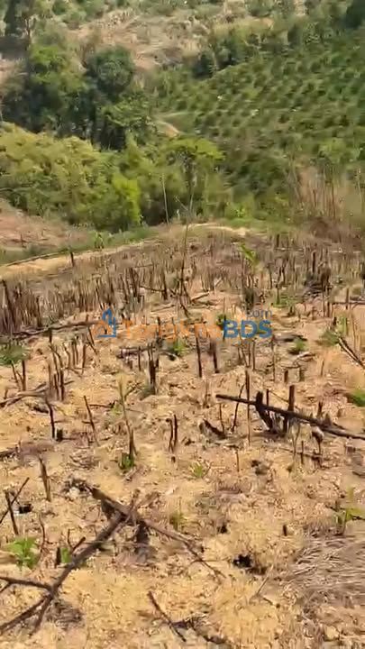 Đất nền Đắk R'Măng Đăk Glong 3ha 1,05 tỷ - Xây dựng tự do