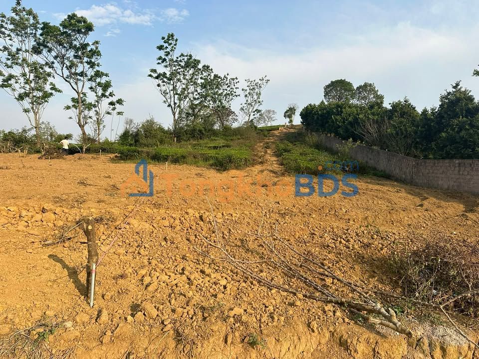 Bán Đất Nền Mai Sơn, Sơn La 4795m² - Giá Tốt Đầu Tư