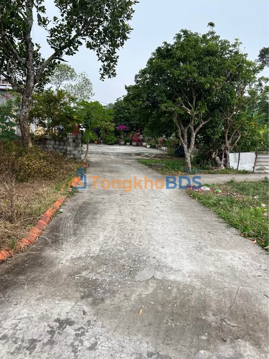 Đất nền Khu phố 1 Hải Hòa 120m² 1 tỷ - Đường to ô tô