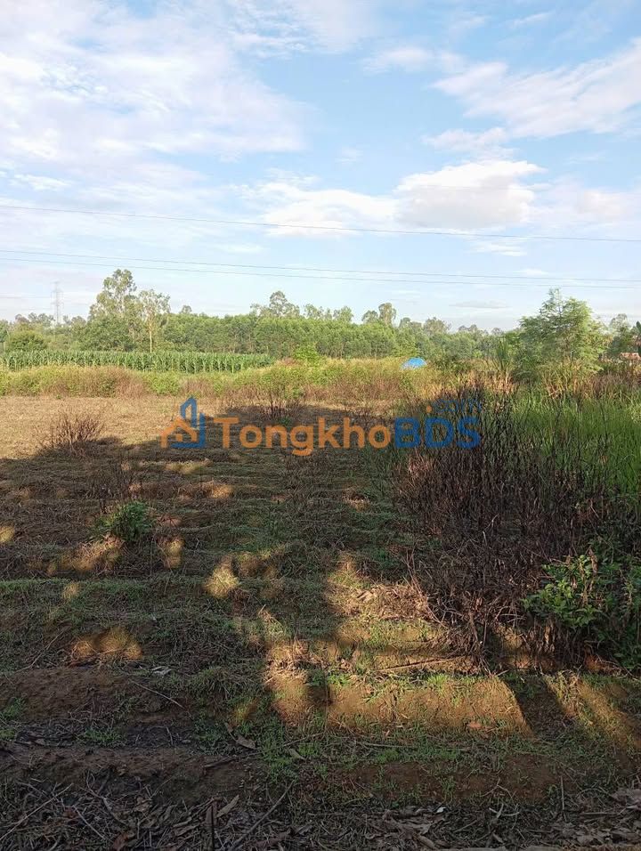 Đất nền Hà Lam 125m² giá thỏa thuận - Xây dựng tự do