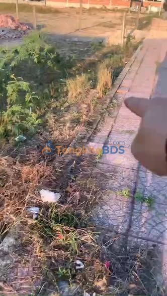 Đất nền Phước Lộc Tuy Phước 129m² - Đất thổ cư 100% mặt chợ