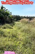 Đất vườn Trường Hòa 2.000m² 1,35 tỷ - Sinh thái xanh