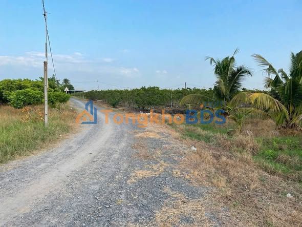 Đất nền Tân Bình Tây Ninh 950 triệu - Sổ đỏ chính chủ