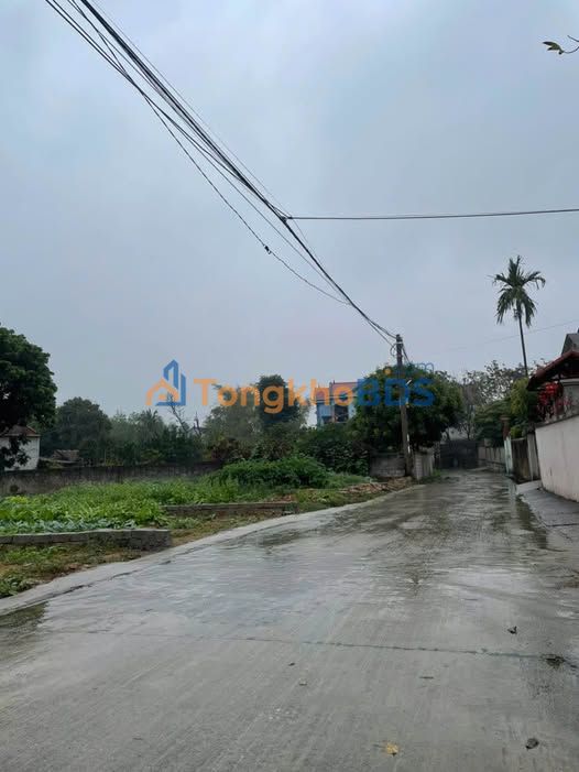 Đất nền Tân An Bắc Giang 120m² - Sổ hồng rõ ràng