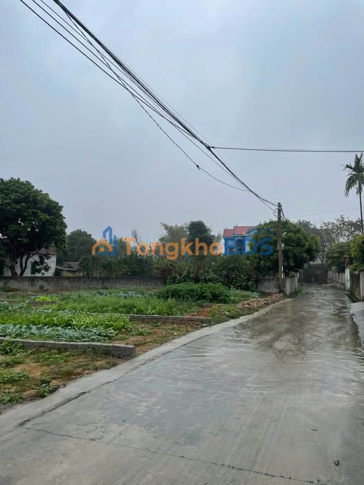 Đất nền 100m² Quỳnh Sơn, Bắc Giang - Sổ đỏ, Sẵn xây nhà