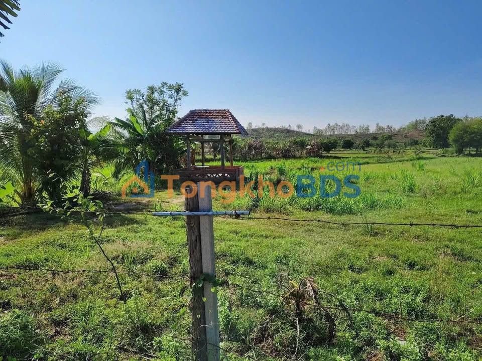 Đất thổ cư Lâm Sơn 1.440m² 690tr - Sổ đỏ chính chủ