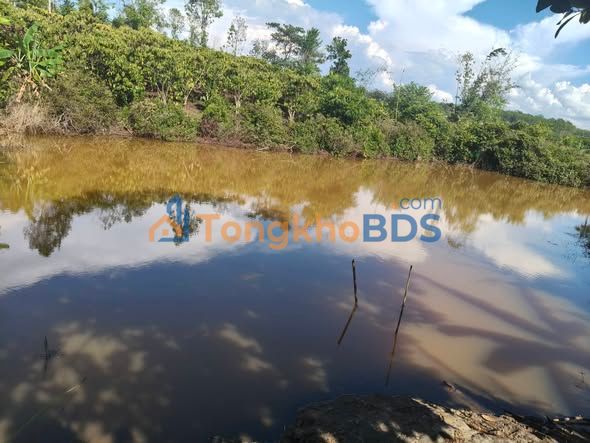 Đất nền Quảng Phú Đam Rông 2880m² 2 tỷ - Sổ đỏ chính chủ