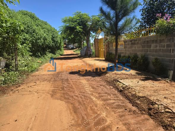 Đất nền Đinh Văn Lâm Hà 1.047m² 1,149 tỷ - Xây nhà vườn