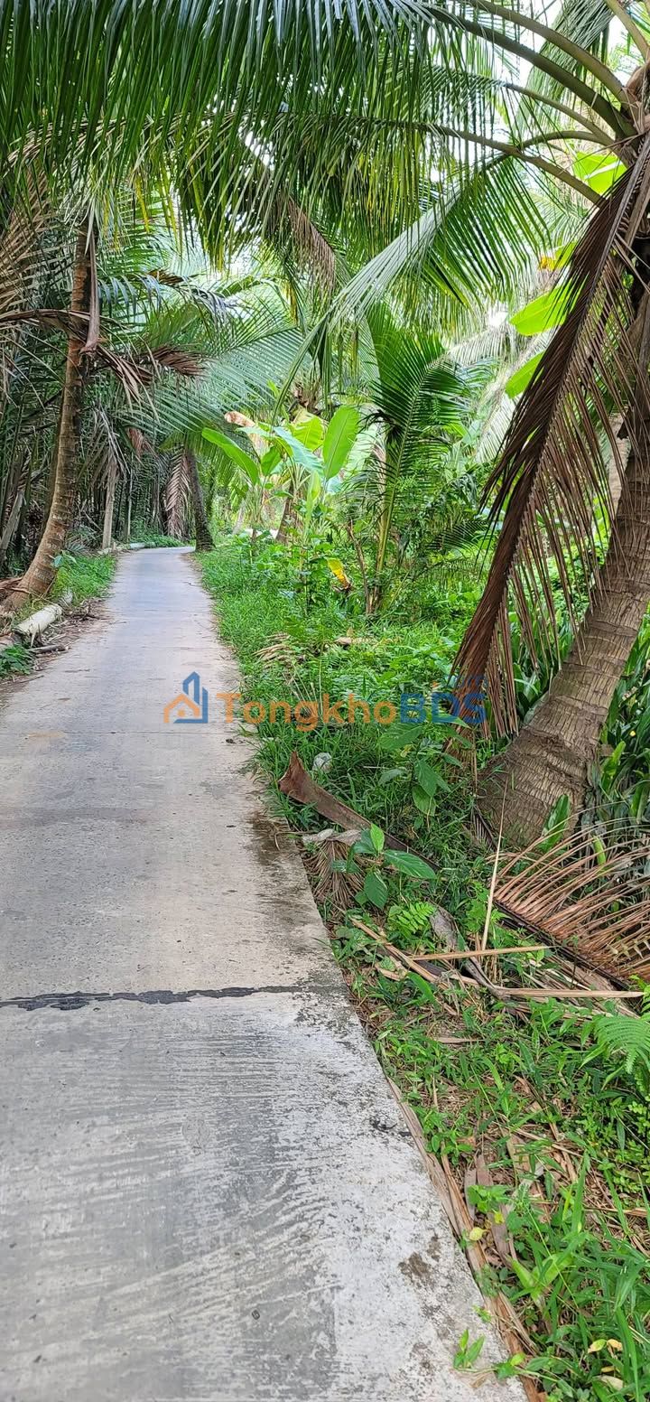 Đất Vĩnh Long 2300m² Mặt Tiền Huyện Lộ - Giá 7.82 Tỷ